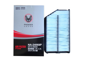 NA-24069P